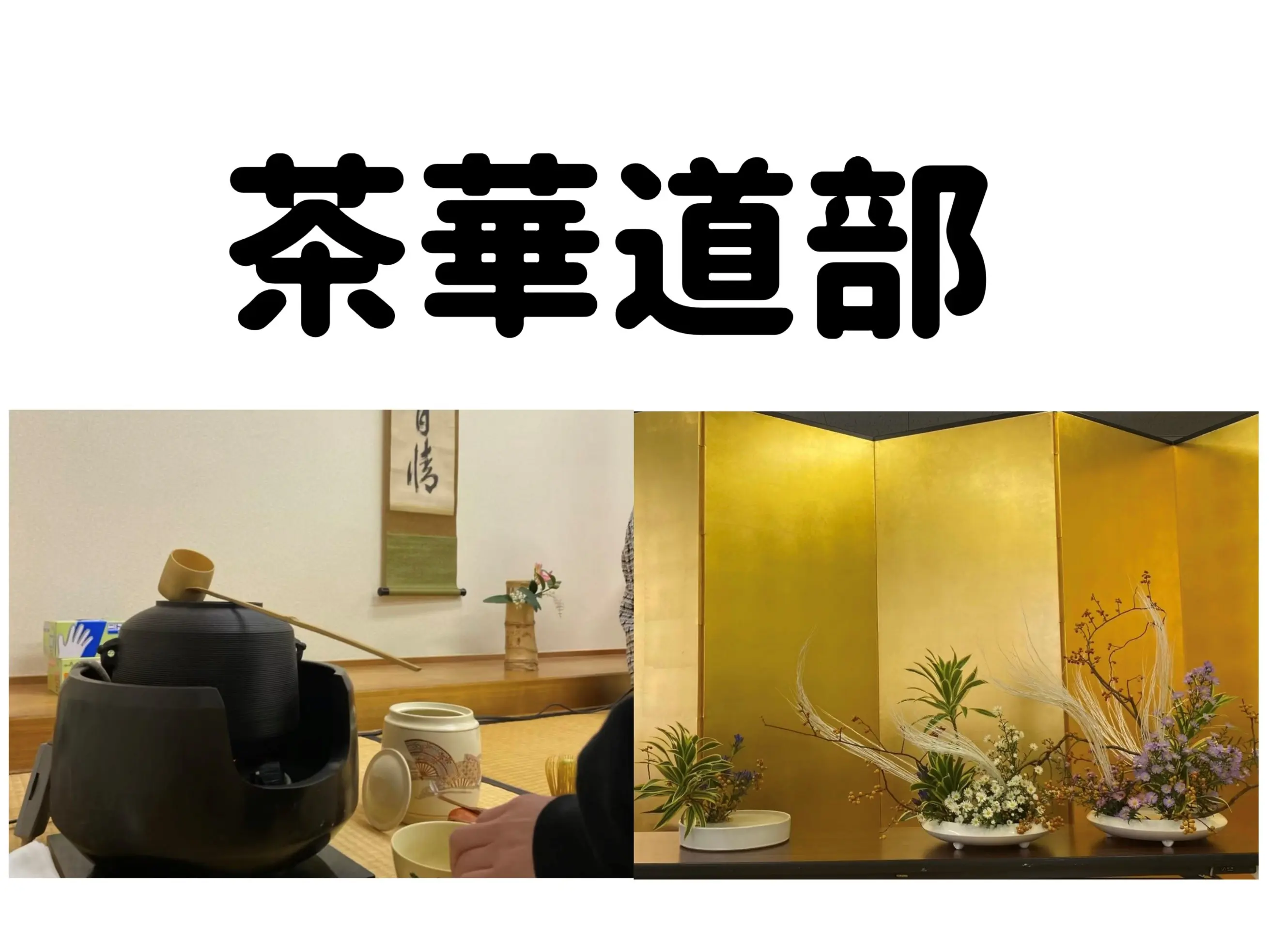 茶華道部 場所: 松陰会館2階